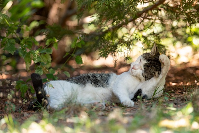 27664 the 10 best body washes for men in 2025 tested by grooming editors The 10 Best Body Washes for Men in 2025, Tested by Grooming Editors