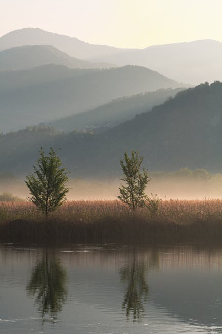 27860 lee mathews spring 2026 ready to wear Lee Mathews Spring 2026 Ready-to-Wear