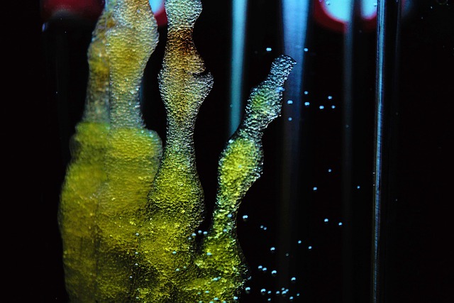 27881 mesenchymal thymic niche cells enable regeneration of the adult thymus and t cell immunity Mesenchymal thymic niche cells enable regeneration of the adult thymus and T cell immunity