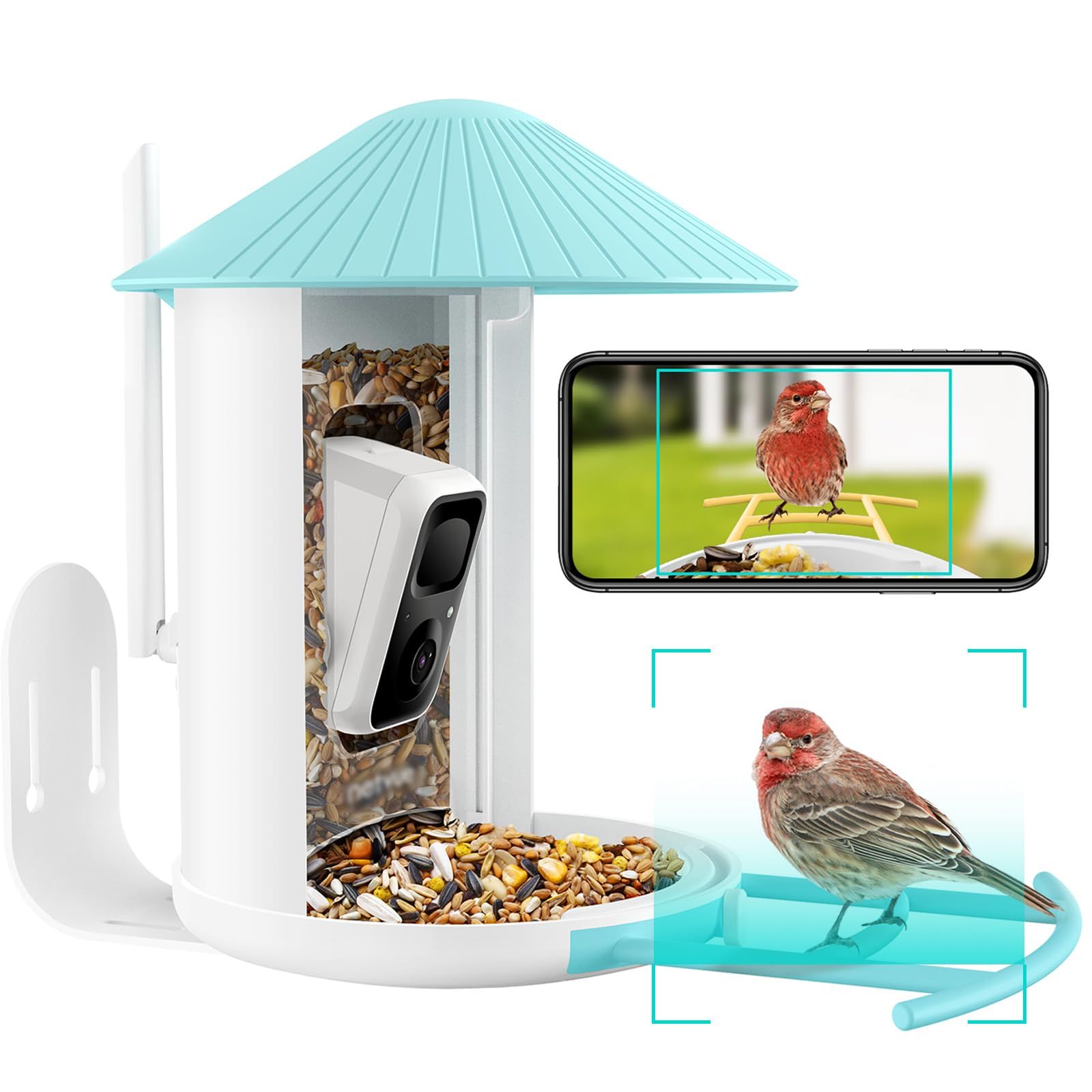 Birdfy AI Smart Bird Feeder with Camera