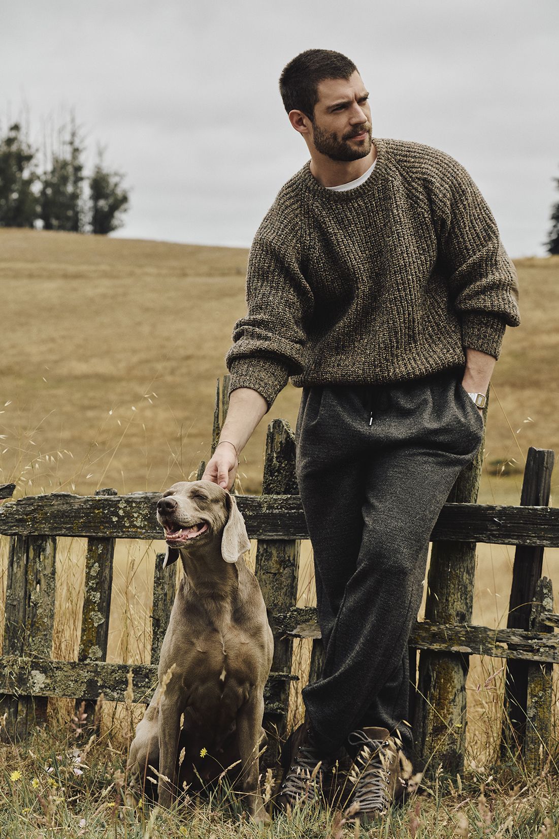 david corenswet for banana republic