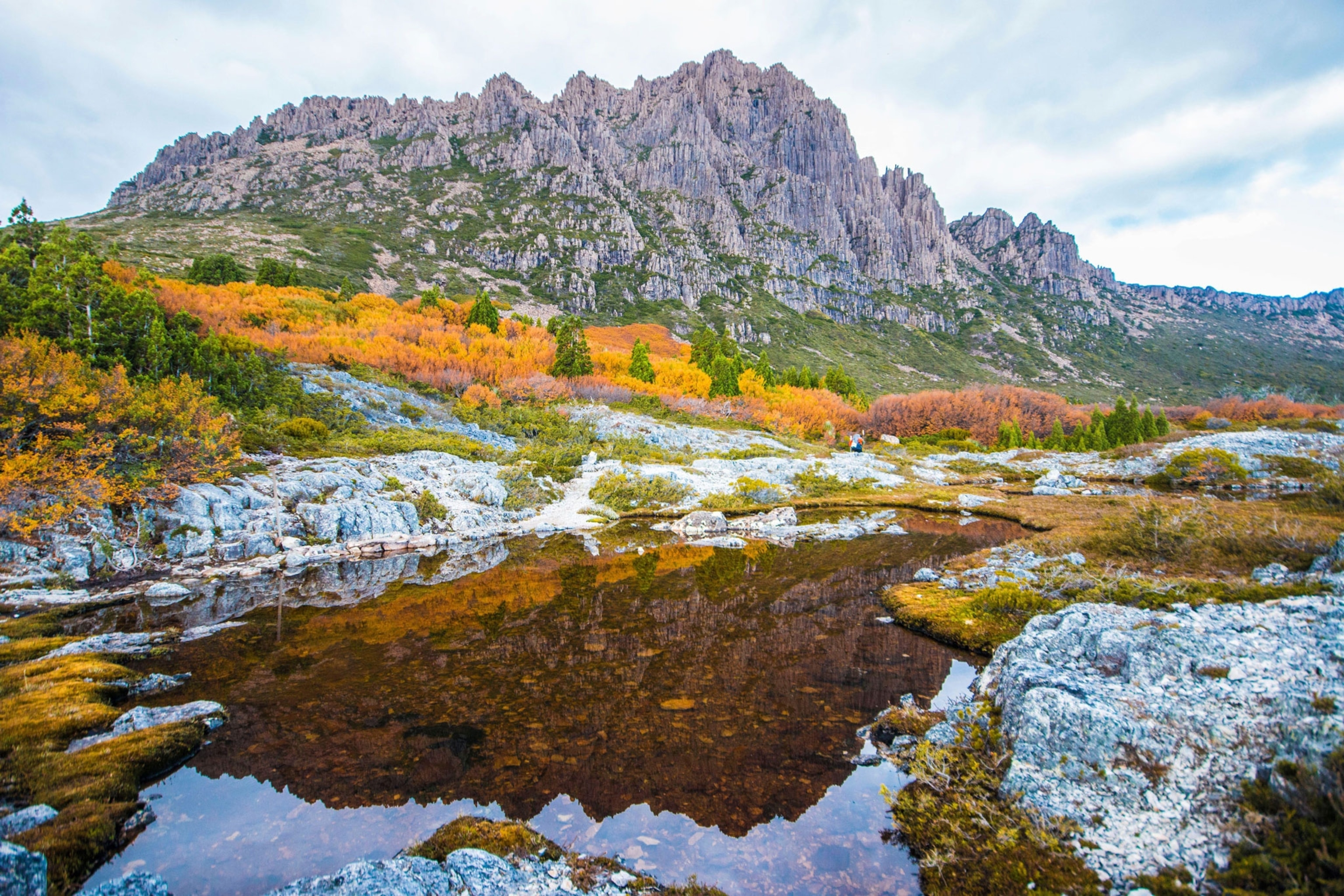Northern Tasmania is home to Cradle Mountain-Lake St Clair National Park.