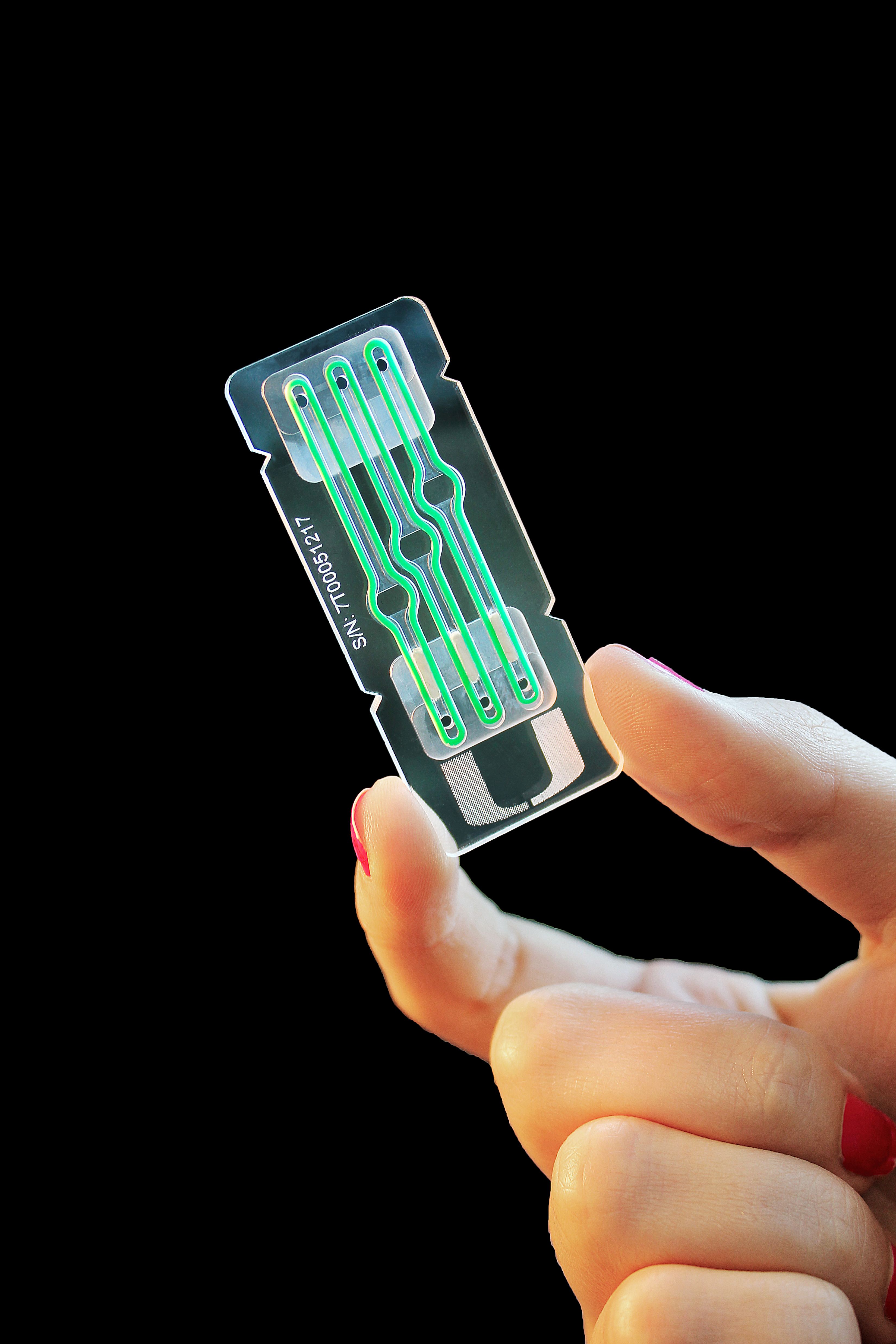 organs on a chip.