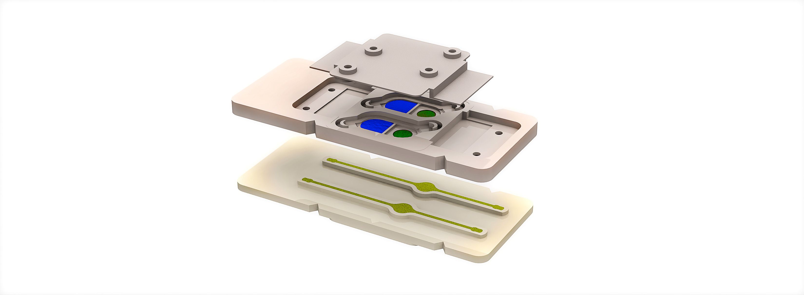 cells from the penis and testes are embedded in this chip, allowing researchers to see what hinders their function.