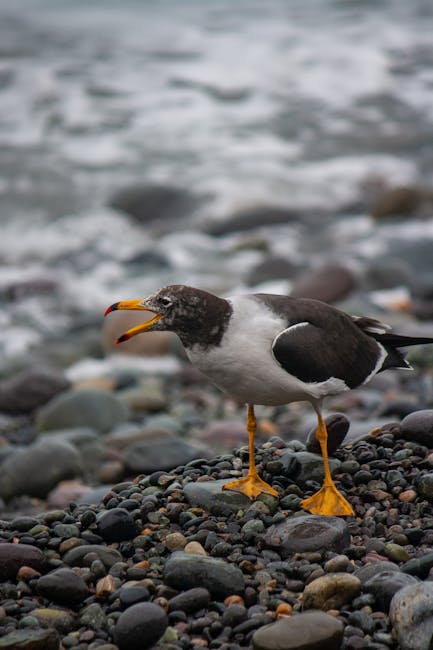 27917 aap rocky calls himself rihannas loving husband but is that a confirmation A$AP Rocky Calls Himself Rihanna’s “Loving Husband,” But Is That A Confirmation?